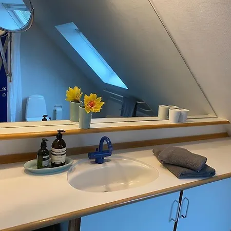 Skont Hus Pa Landet Taet Pa Billund 別荘 ギブ