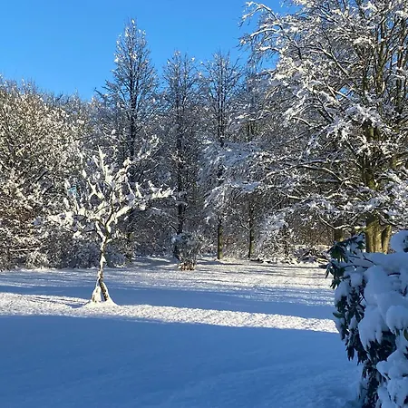 Skont Hus Pa Landet Taet Pa Billund בית נופש *